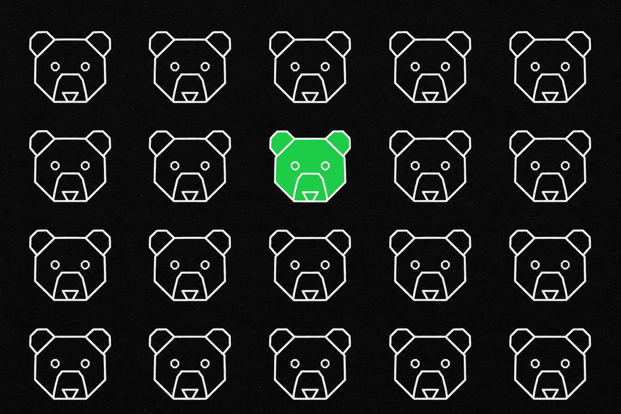 A grid of outlined bear heads with one bear filled in green, the Bearish brand mark standing out